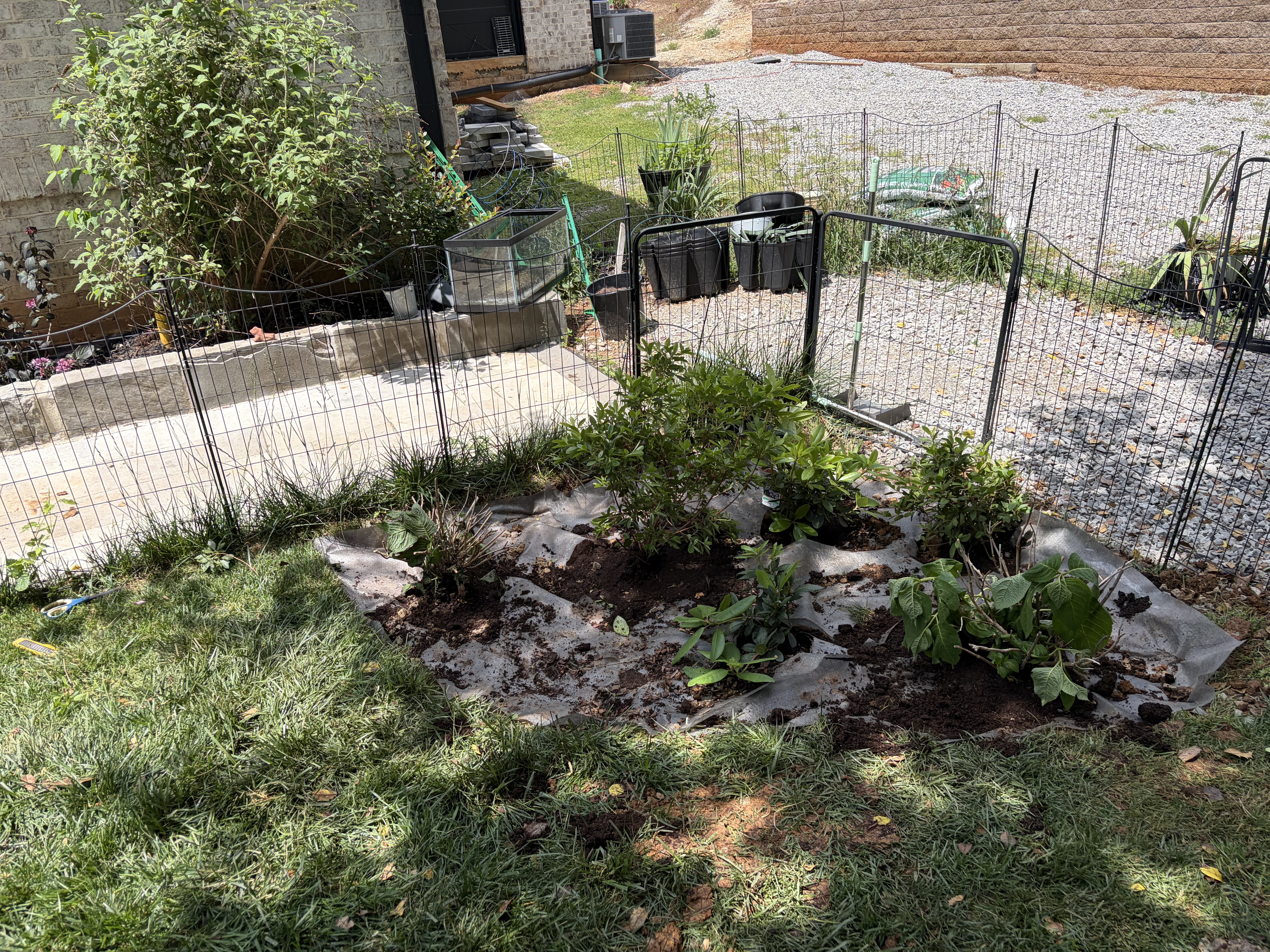 Garden bed after