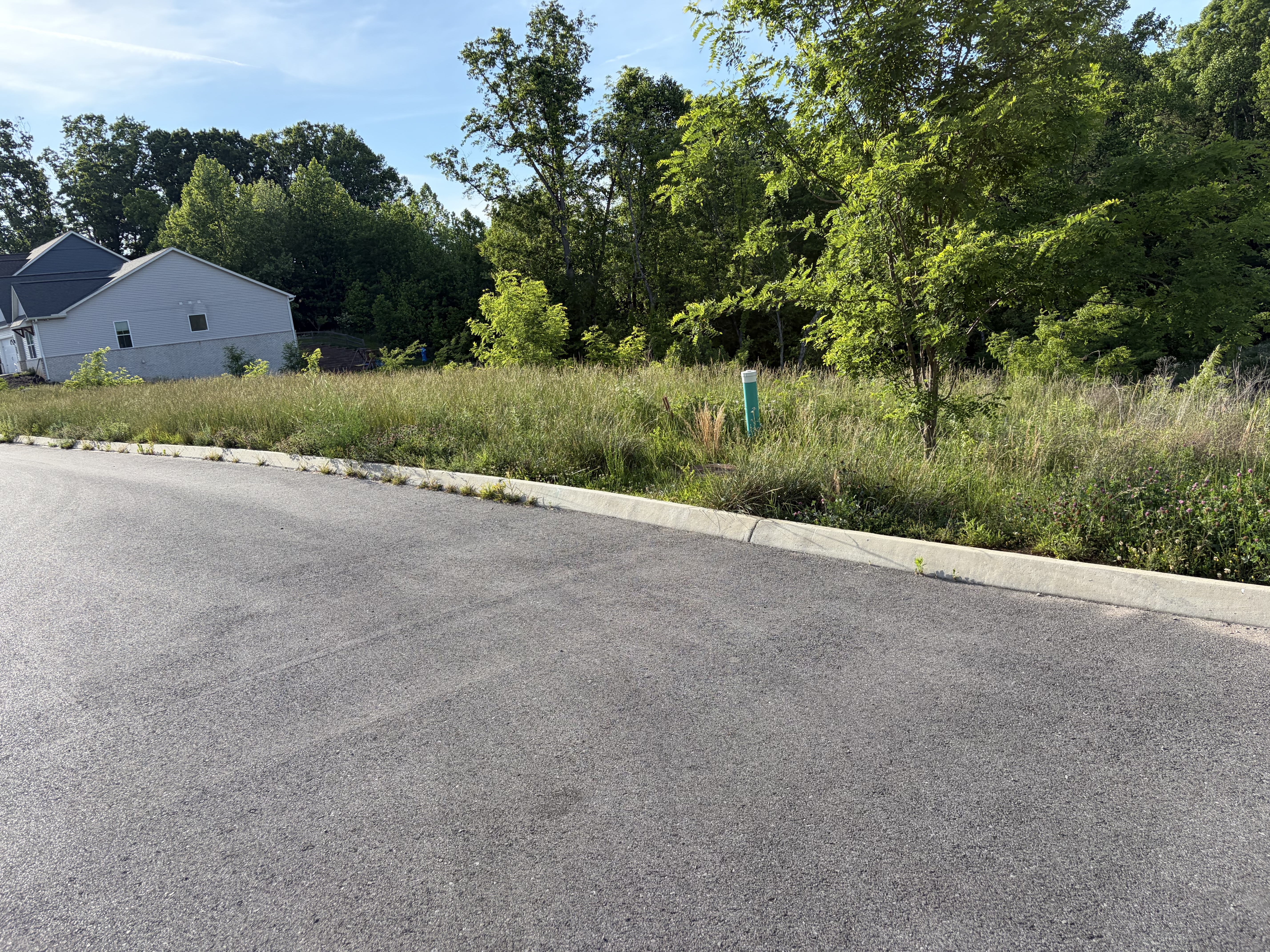 Lot clearing job