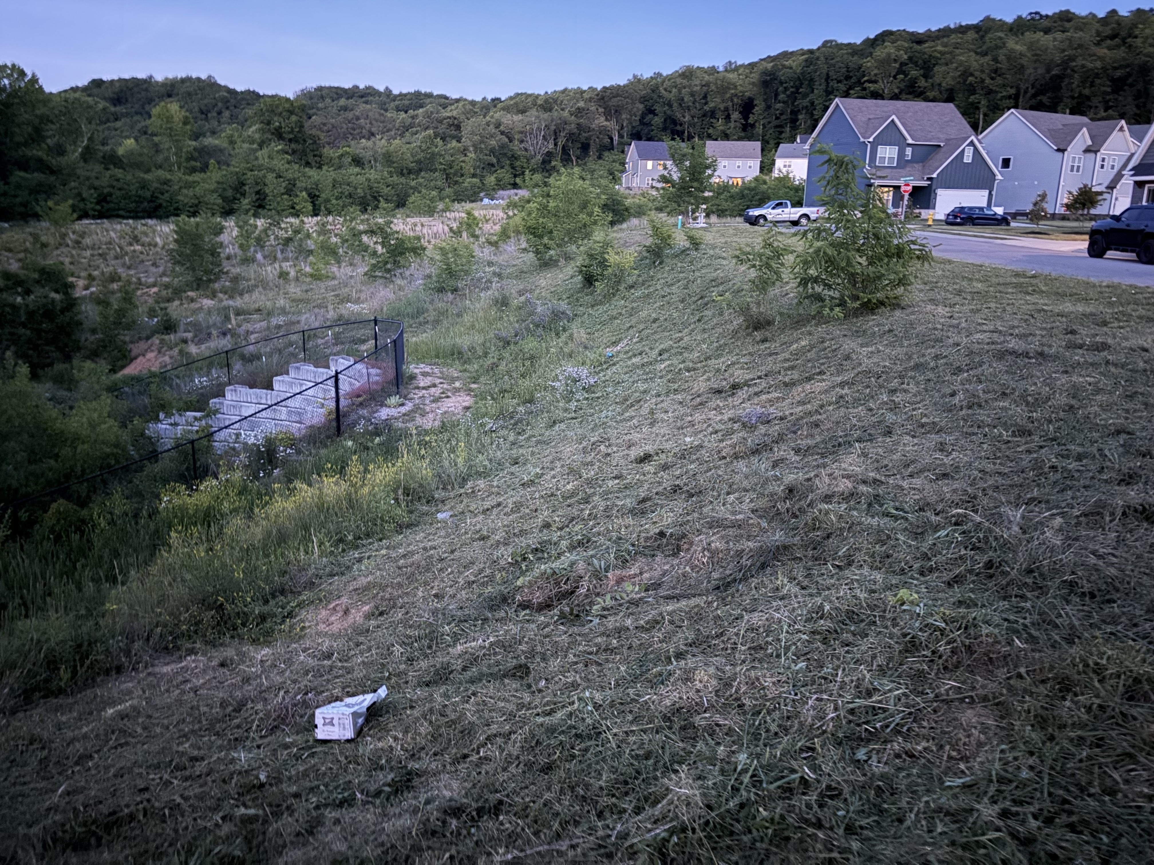 Lot clearing job