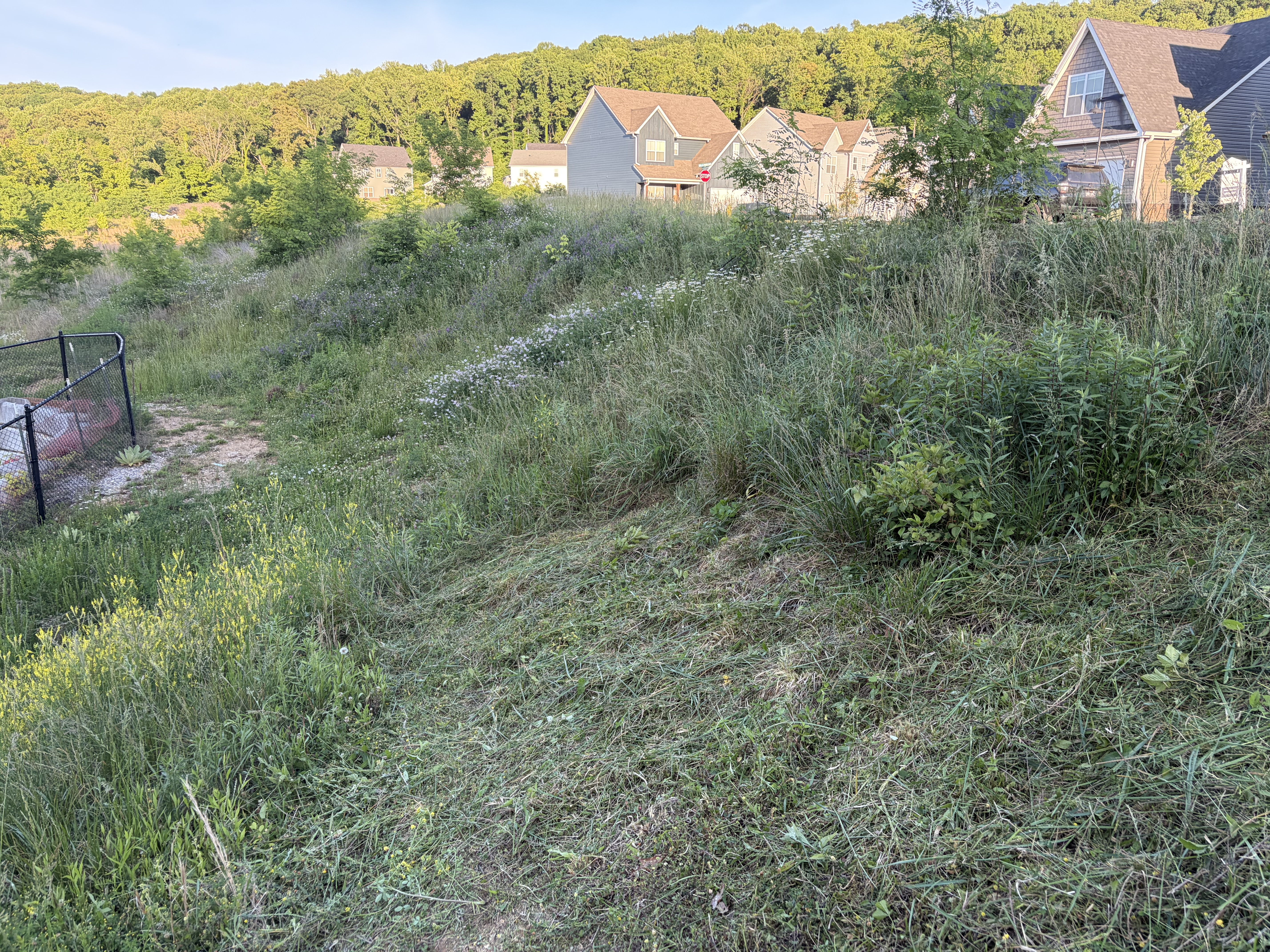 Lot clearing job